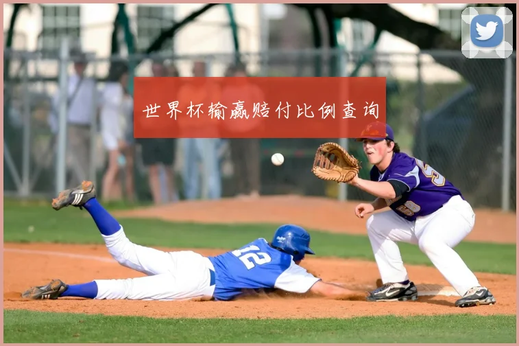 世界杯输赢赔付比例查询