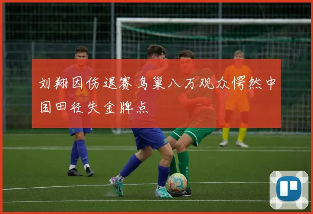 刘翔因伤退赛鸟巢八万观众愕然中国田径失金牌点