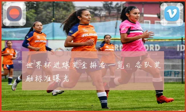 世界杯进球奖金排名一览,各队奖励标准曝光