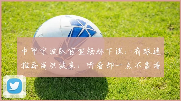 中甲宁波队官宣杨林下课，有球迷推荐高洪波来，听着却一点不靠谱