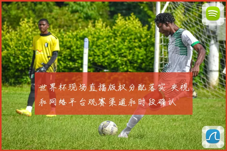 世界杯现场直播版权分配落实 央视和网络平台观赛渠道和时段确认