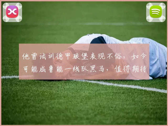 他曾试训德甲狼堡表现不俗，如今可能成鲁能一线队黑马，值得期待